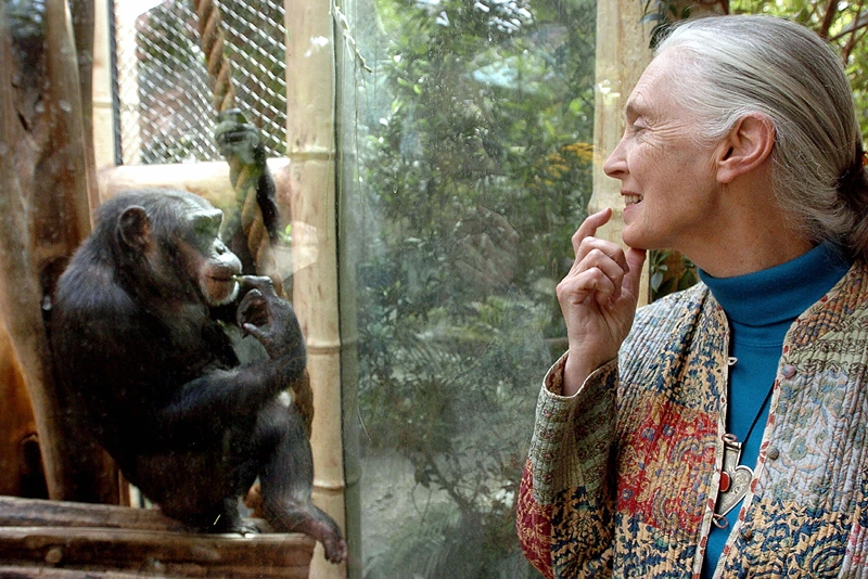 Jane Goodall, famous for her work with animals and nature, passes away at 91