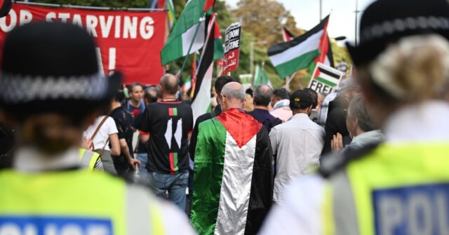 Jewish Man Taken into Custody While Donning Star of David at Pro-Palestine Demonstration