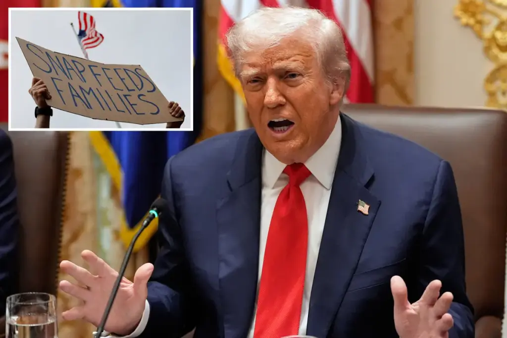 Judge determines that Trump's administration's cut to SNAP benefits is probably illegal