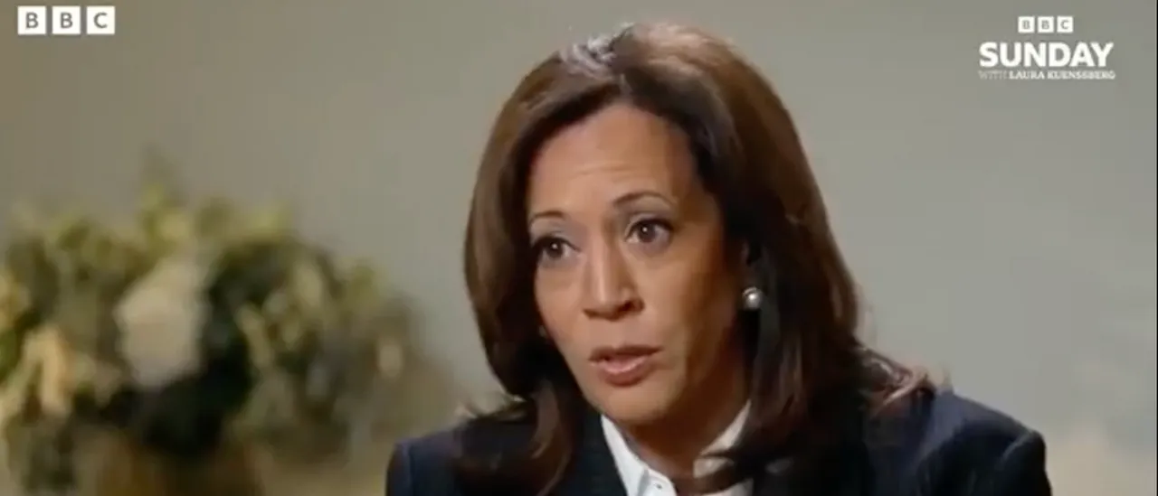 Kamala Harris Reassures Interviewer That Biden Was Capable of Being President — Yet Campaigning Told a Different Tale