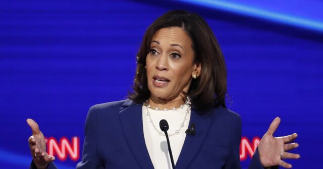 Kamala Harris Says Gen Z is Reluctant to Have Children Due to 'Climate Anxiety'