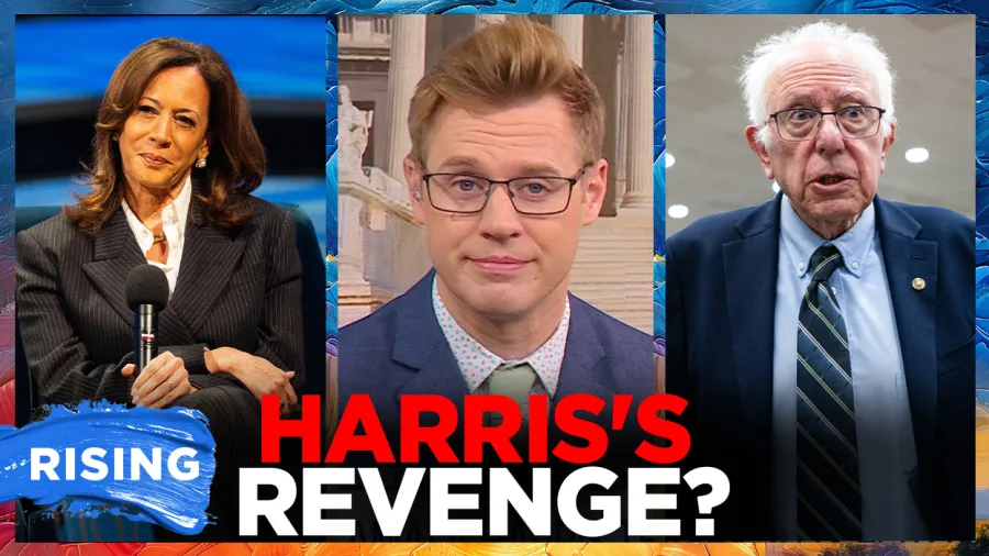 Kamala Harris hints at a 2028 presidential race, hurting Democrats' chances