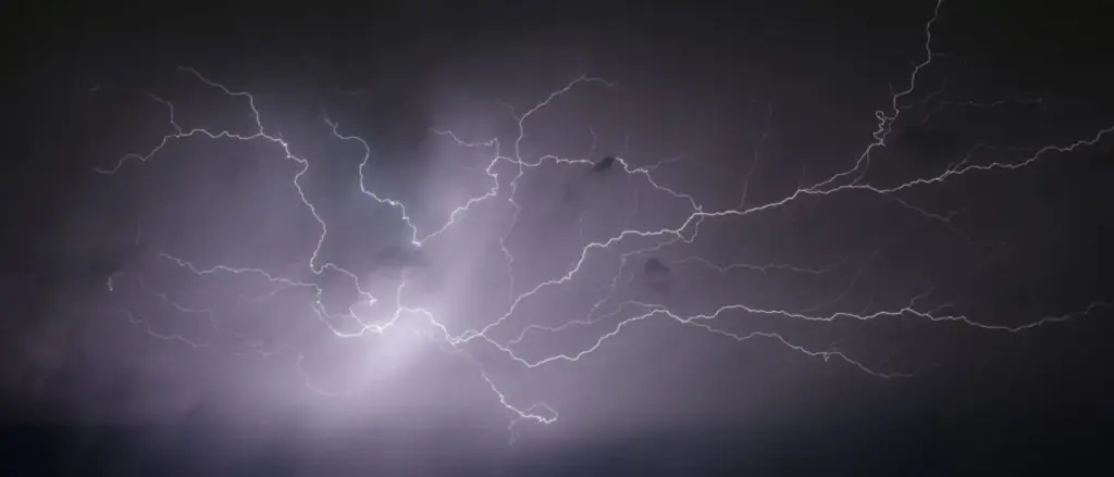 Louisiana Teen Hunter Discovered Dead In Deer Stand After Lightning Strike, According To Authorities