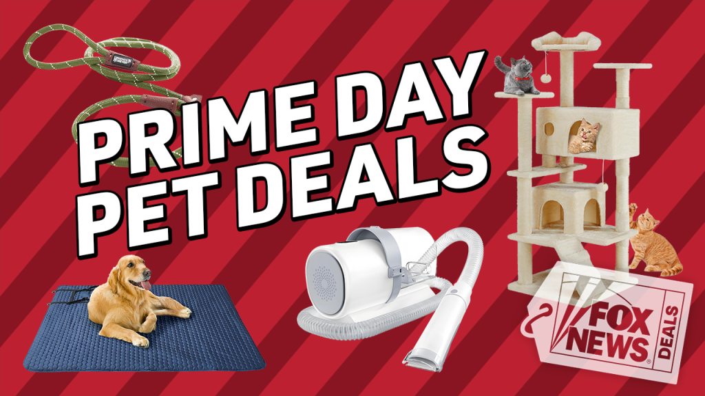 Major savings on pet products during Big Deal Days: Up to 50% off gear for cats and dogs