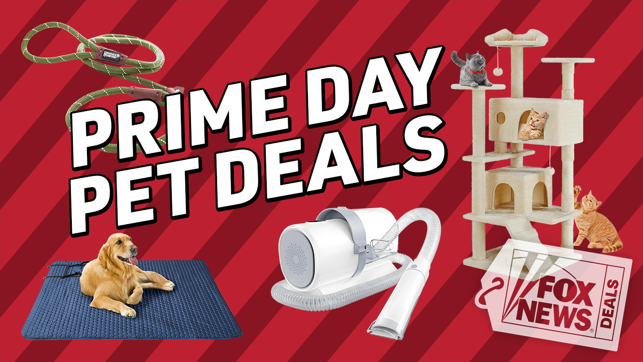 Major savings on pet products during Big Deal Days: Up to 50% off gear for cats and dogs