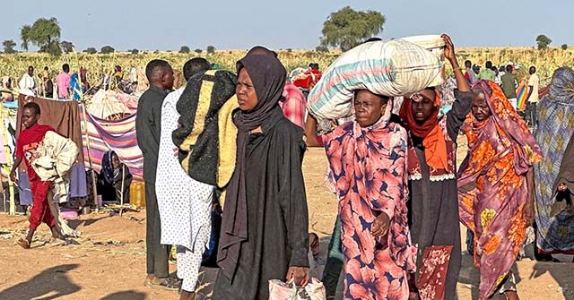 Many lives lost as Sudanese militia take control of final hospital in Darfur