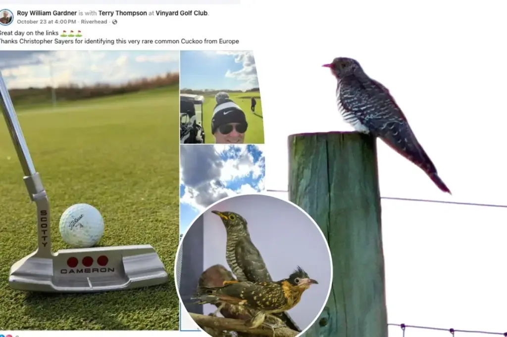 Many passionate birdwatchers gather on Long Island after a rare cuckoo bird was seen by a golfer.