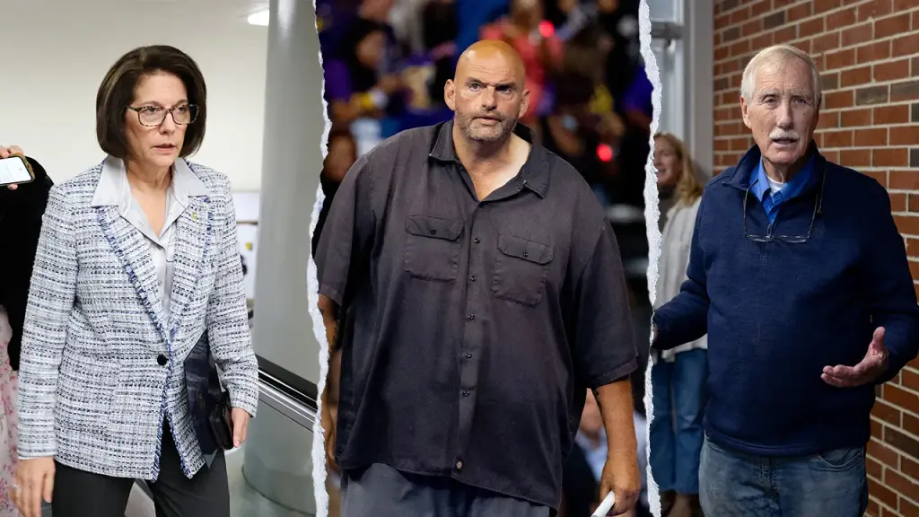 Meet the 3 Democrats defying their party as Schumer backs a funding proposal with GOP support.