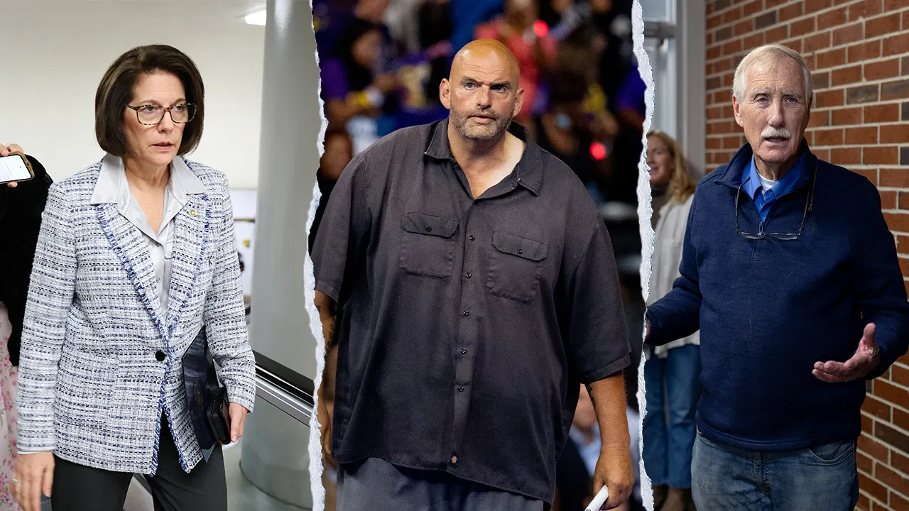 Meet the 3 Democrats defying their party as Schumer backs a funding proposal with GOP support.