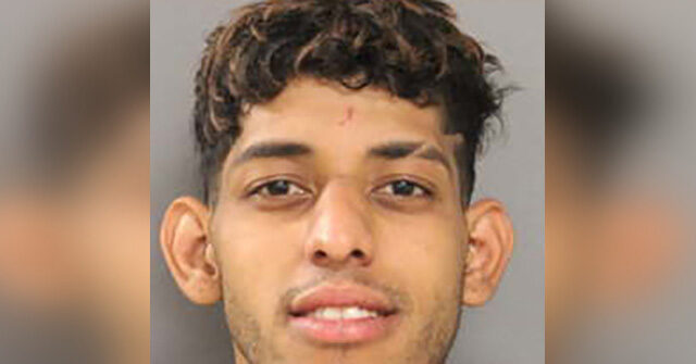 Migrant Charged with Stabbing Man Over Video After Being Arrested 8 Times