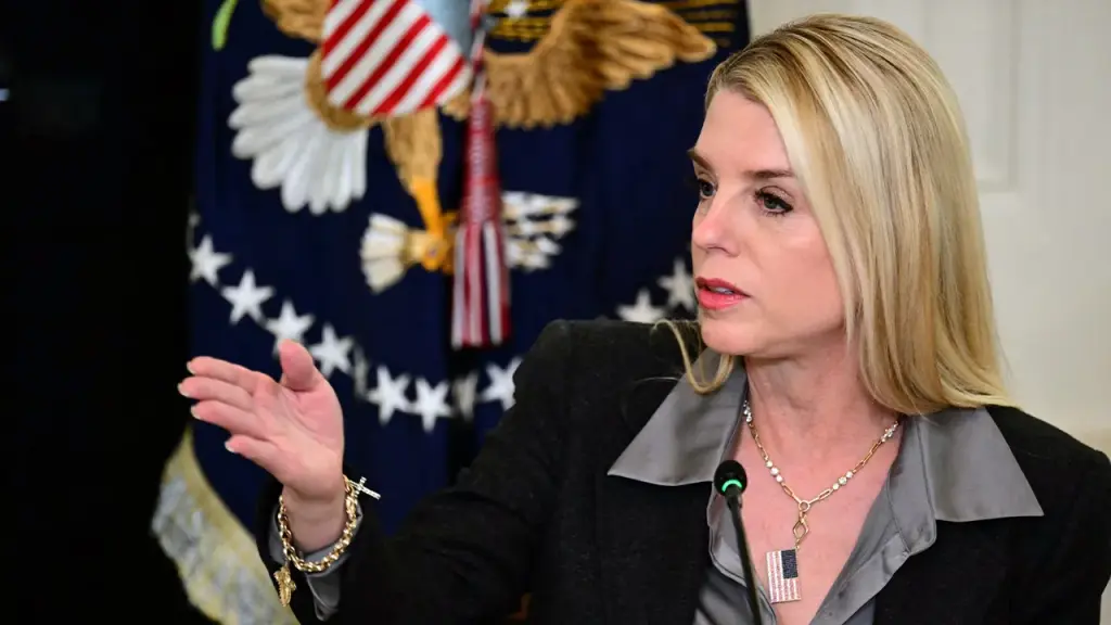 Minnesota man confronts federal charges for claimed $45,000 Bondi bounty advertisement