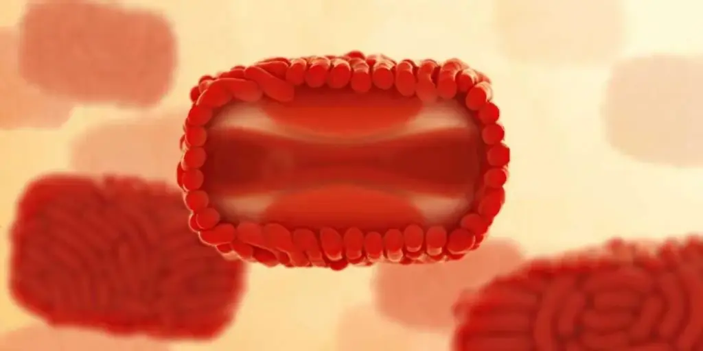 Monkeypox is returning. Watchdog urges policymakers to set aside political correctness.