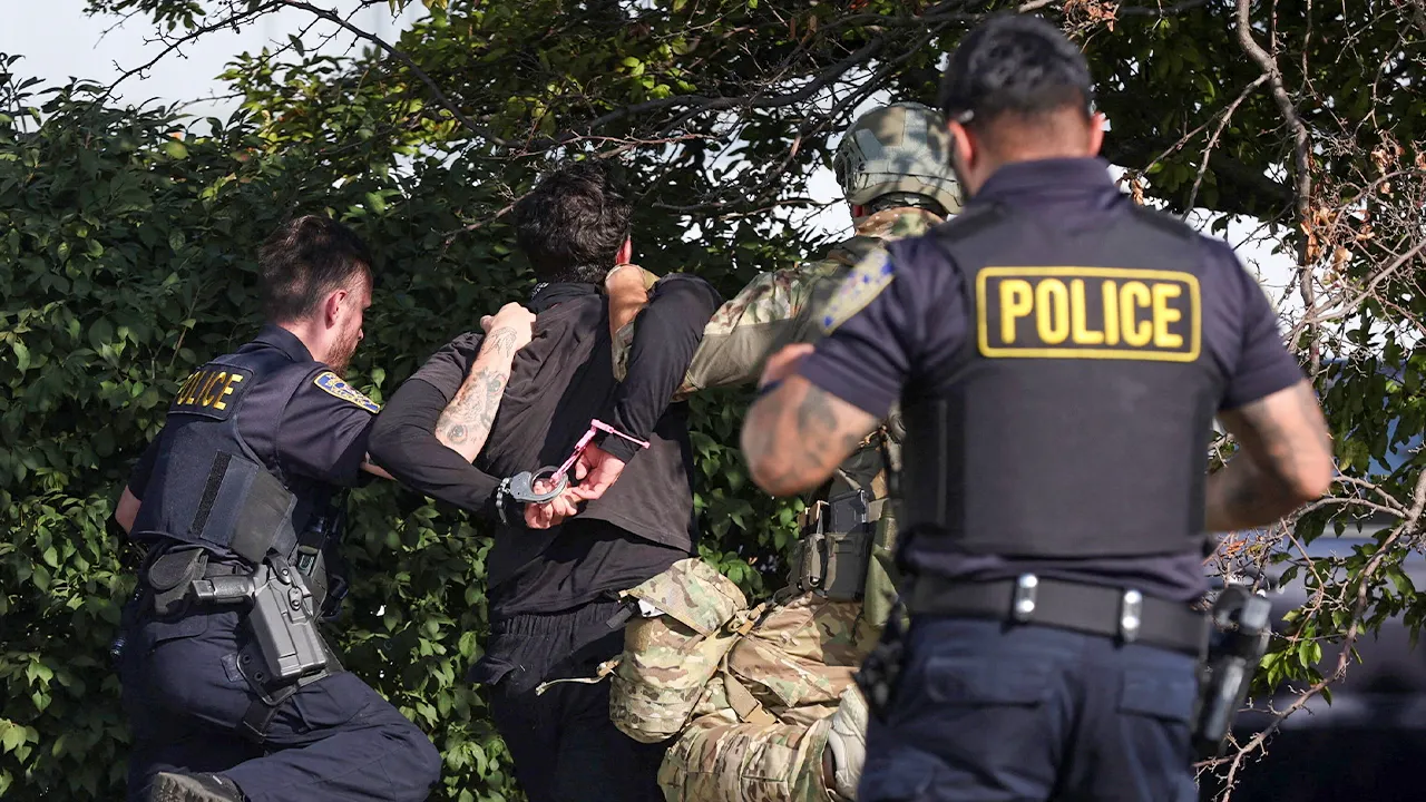 More than a dozen demonstrators taken into custody at Broadview ICE center during protests