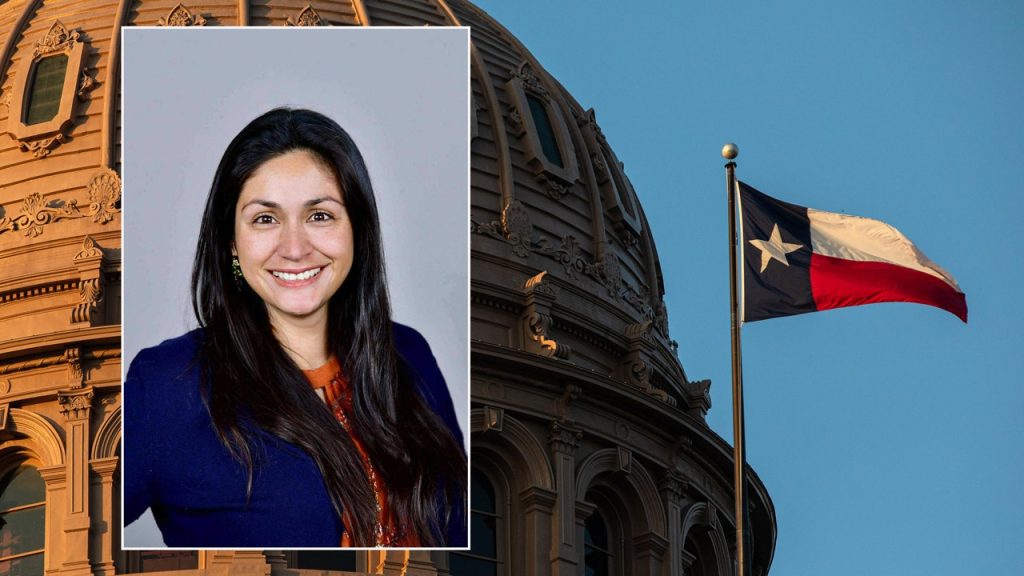 Mother in Texas campaigns for State Representative following her daughter's disappearance