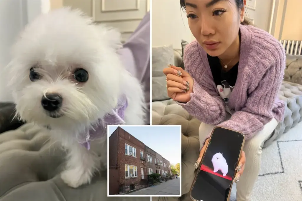 NYC pet shop Tiny Cuties offers Asian-bred puppies priced up to $38k despite New York sales prohibition