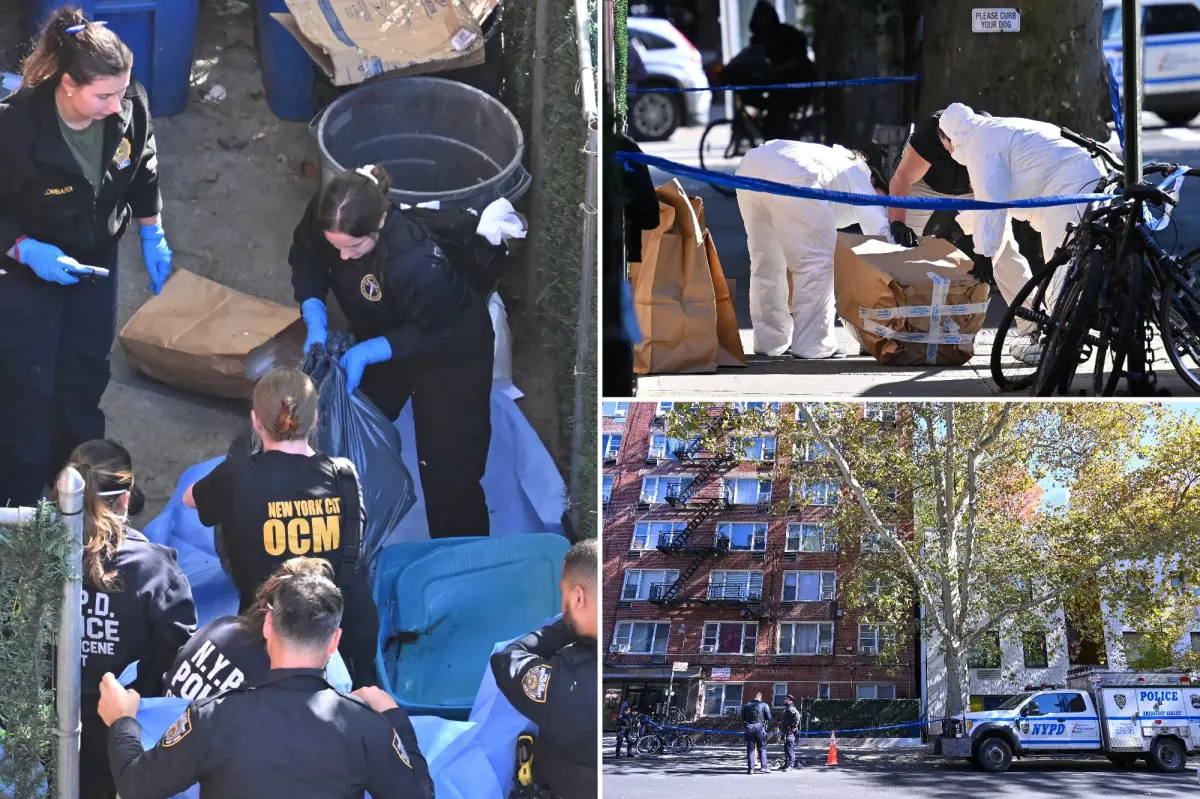 NYC tenant disposed of lover's decomposing body in trash, but the foul smell couldn't be concealed: sources