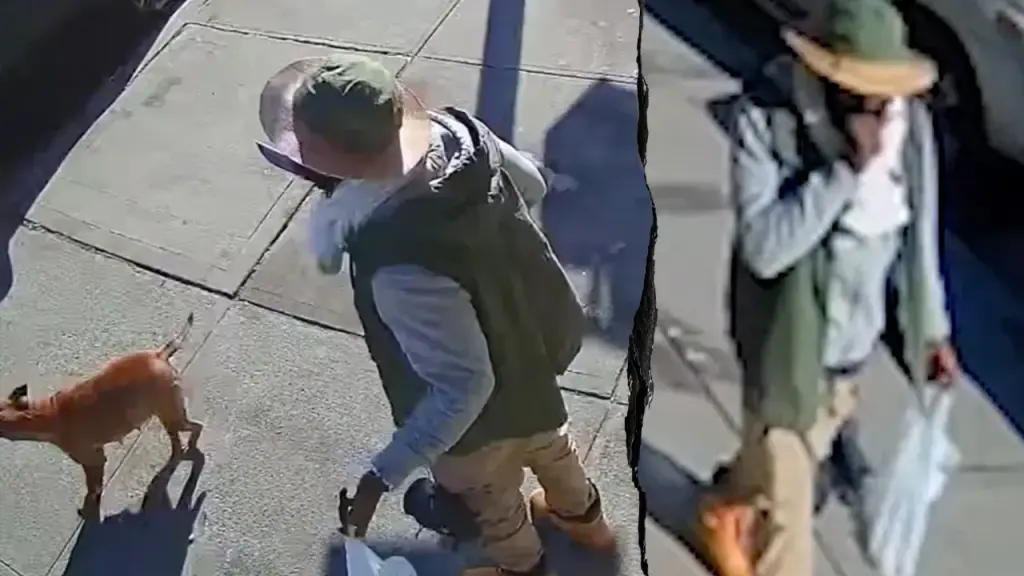 New York City man with 45 arrests facing charges in deadly hit-and-run involving a cancer survivor