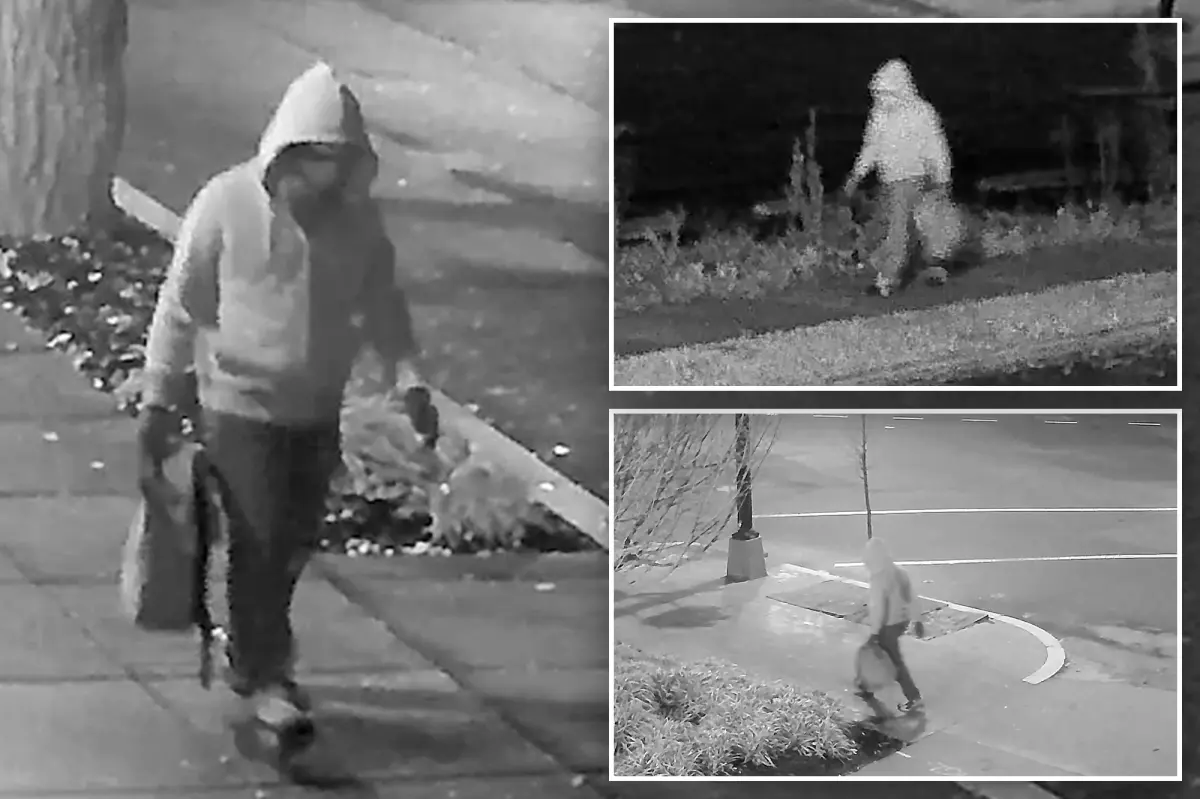 New surveillance footage of suspect who set pipe bombs near DNC and RNC offices in DC is released by the FBI