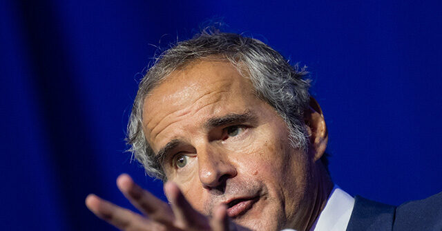 Nuclear Watchdog Estimates That Most of Iran's Uranium Remains Unharmed