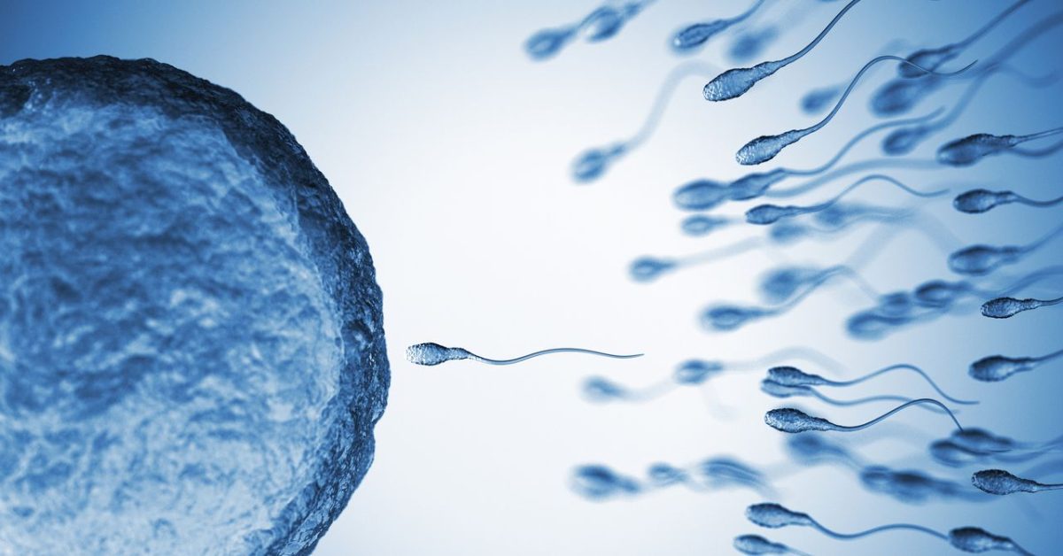 Older Men’s Sperm Contains More Genetic Mutations