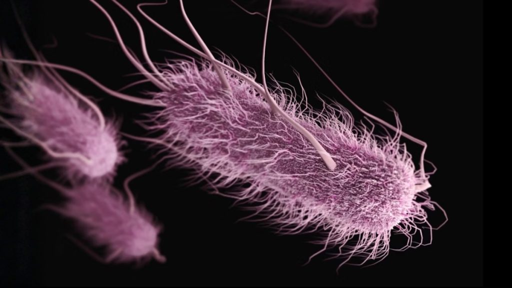 One in five UTIs may be connected to inadequate kitchen hygiene.