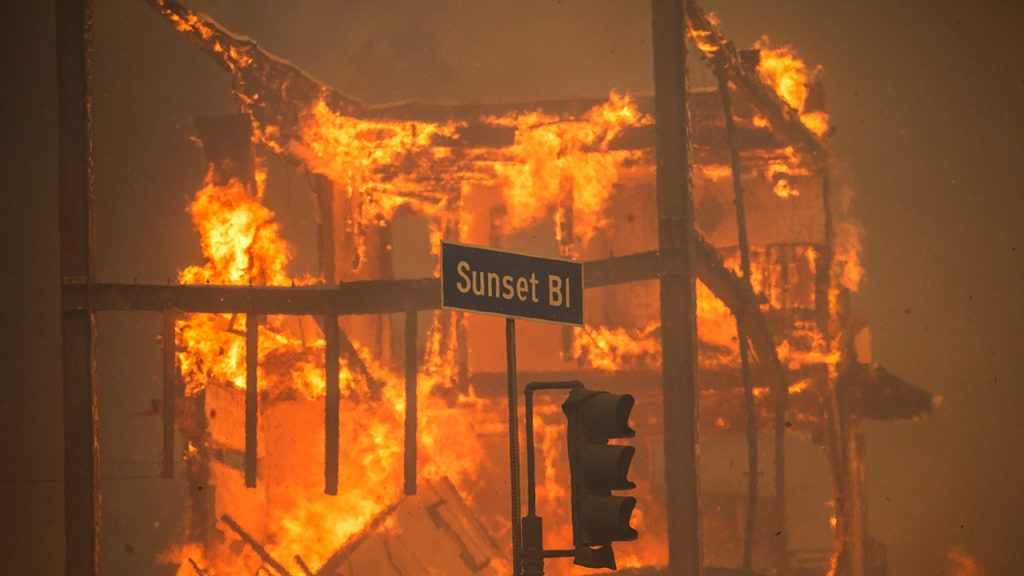 Palisades fire arrest demonstrates that Newsom and Bass prioritize politics over public safety