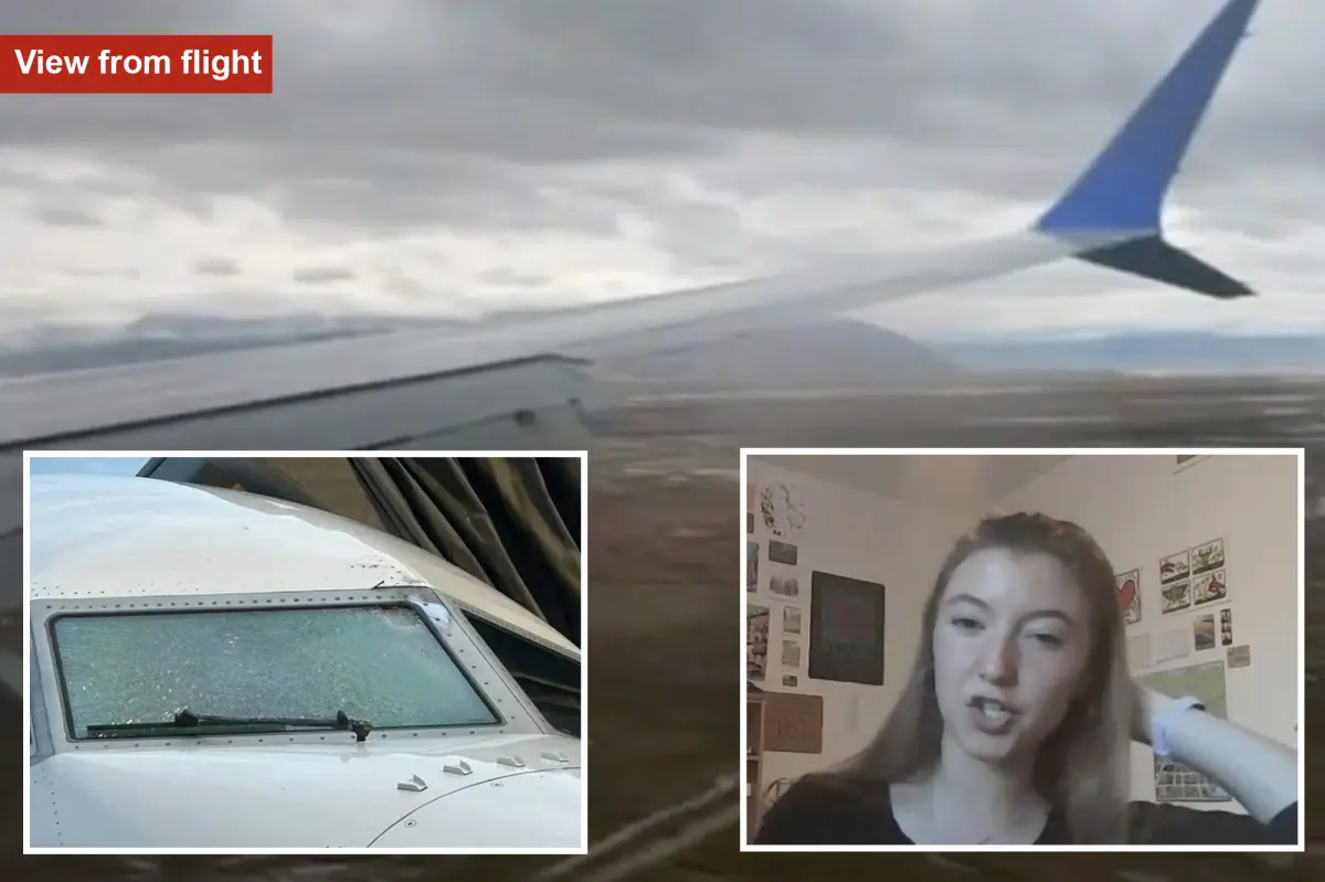 Passenger recounts fear during flight after unknown object hits windshield, injuring pilot