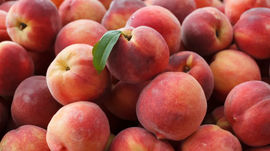 Peaches recalled due to listeria risk sold at Trader Joe's and Kroger