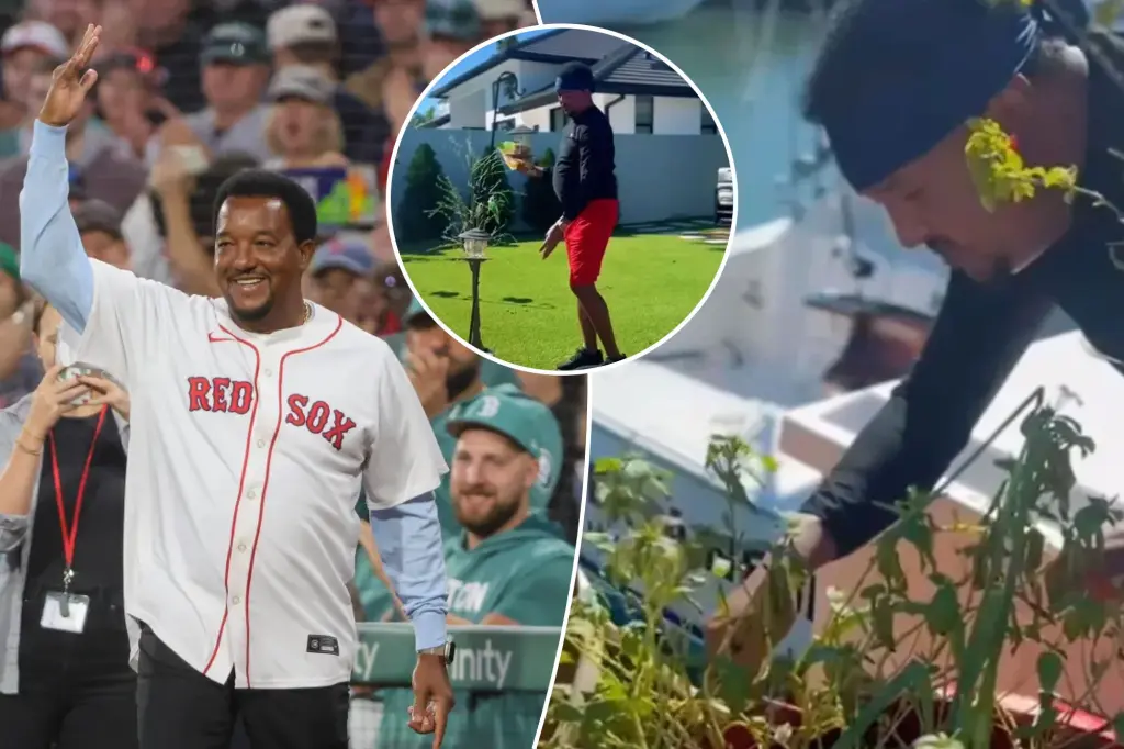 Pedro Martínez's unusual hobby helps him unwind — it's not about seeing the Yankees lose.