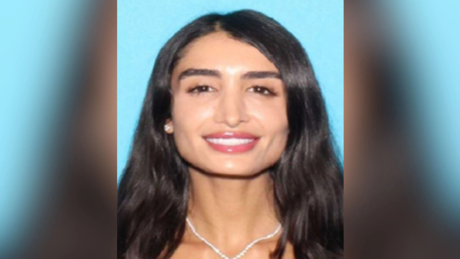 Police claim model from adult magazines committed a series of upscale burglaries