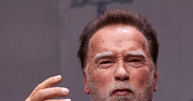 Pope and Schwarzenegger Call on Catholics to 'End' Climate Change