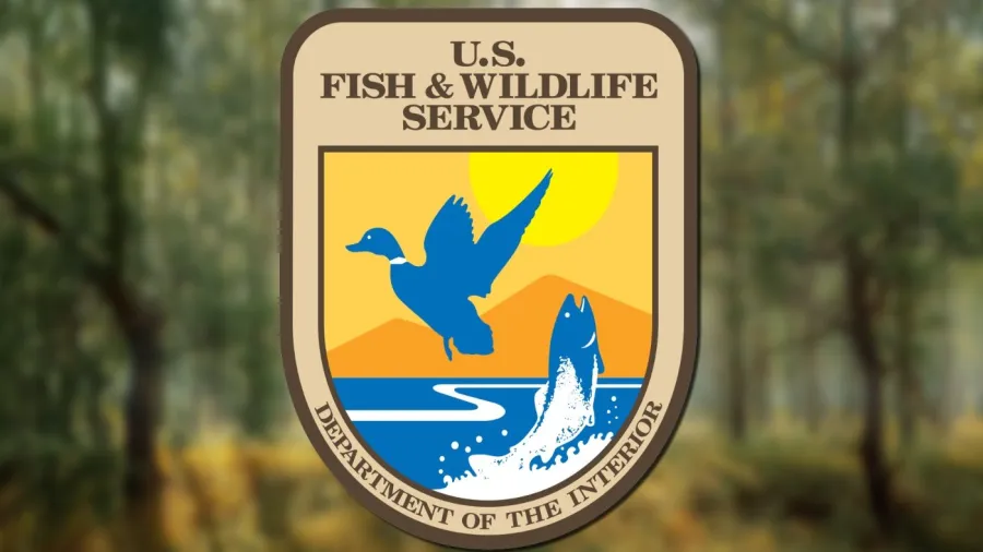 Possible staffing reductions for Trump affect National Park Service, Fish and Wildlife, and Land Management.