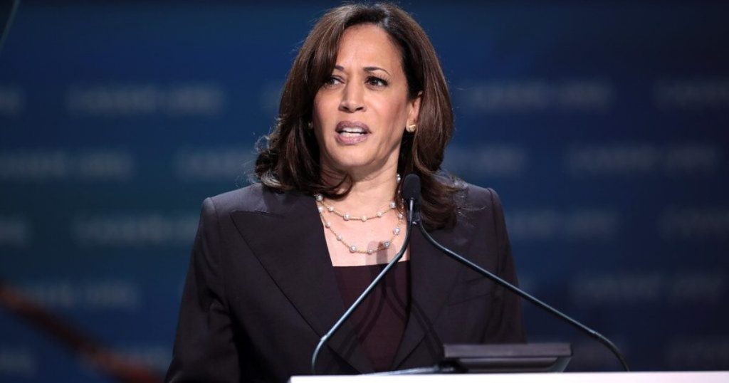 "Profane Rejection" &ndash; Democratic Donors Chose Not to Attend Kamala Harris Fundraiser
