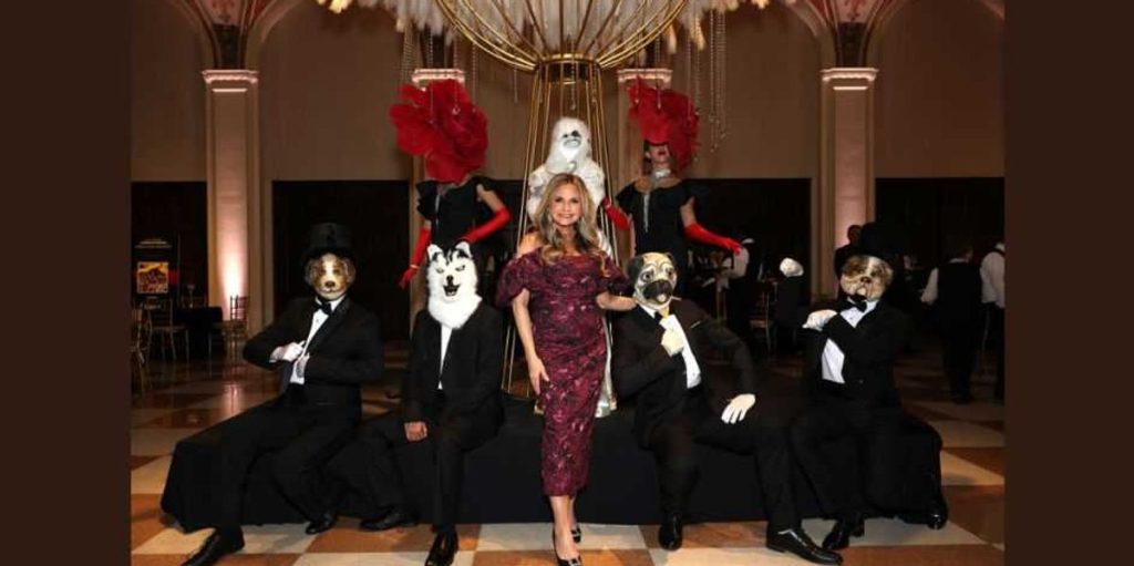 "Provide" shelter: ASPCA and Humane Society thrive on your contributions, watchdog cautions