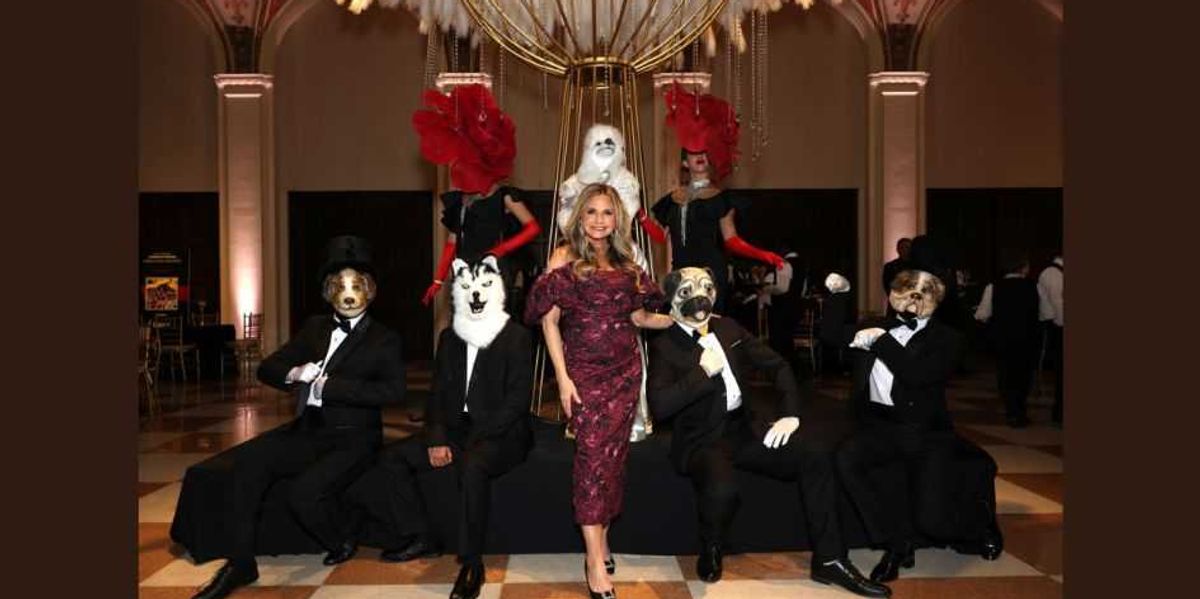 "Provide" shelter: ASPCA and Humane Society thrive on your contributions, watchdog cautions