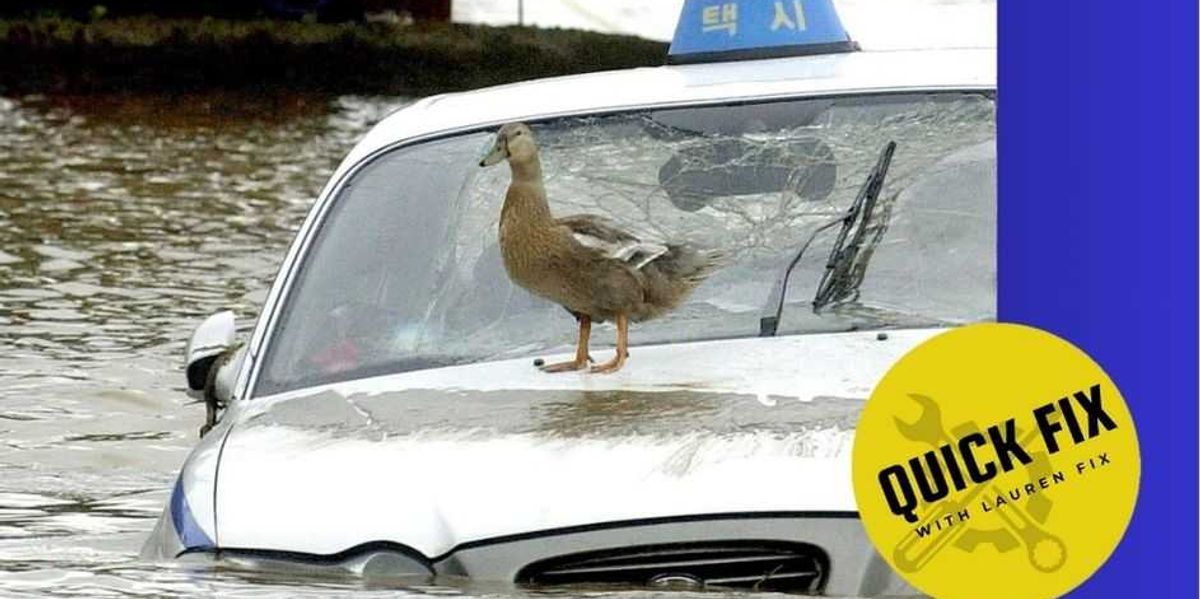 Quick Solution: Is a car that has been damaged by a flood worth the savings?