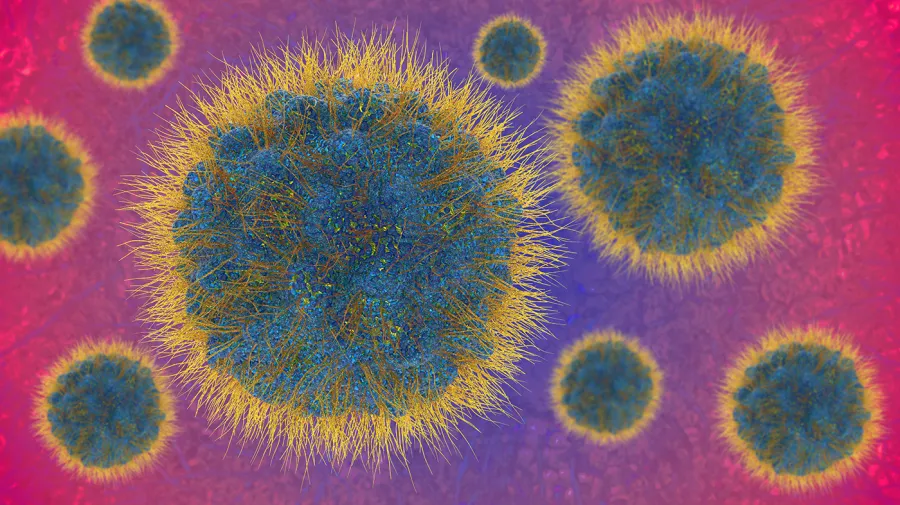 Reasons for growing concerns over new mpox cases in California