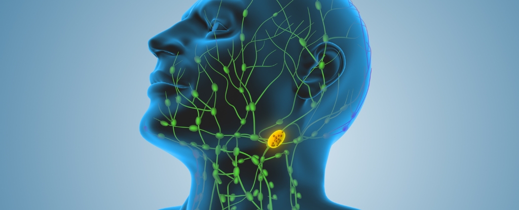 Recent Study Questions Established Approach to Cancer Treatment