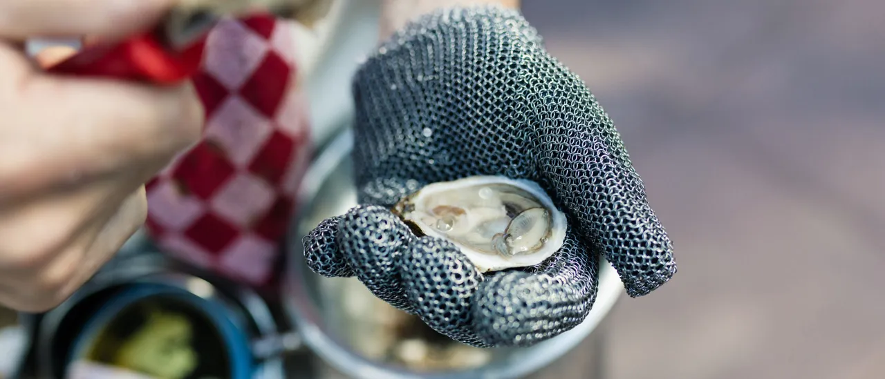 Report: Deleted Posts of Democratic Maine Senate Candidate Show Troubling Political Beliefs