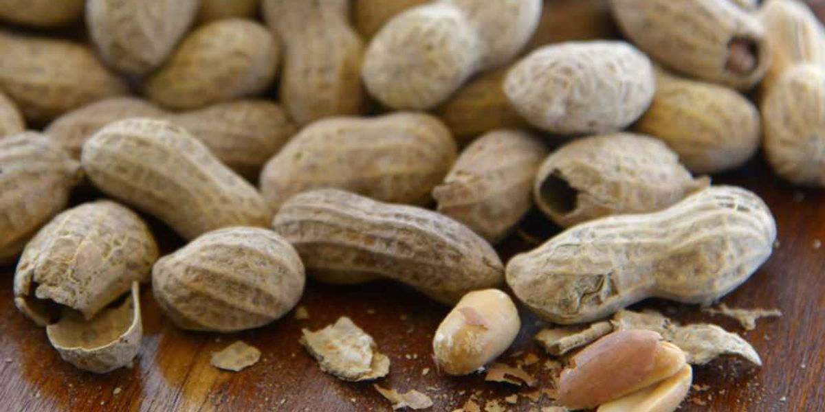 Research reveals significant drop in peanut allergies after previous experts were found to be incorrect