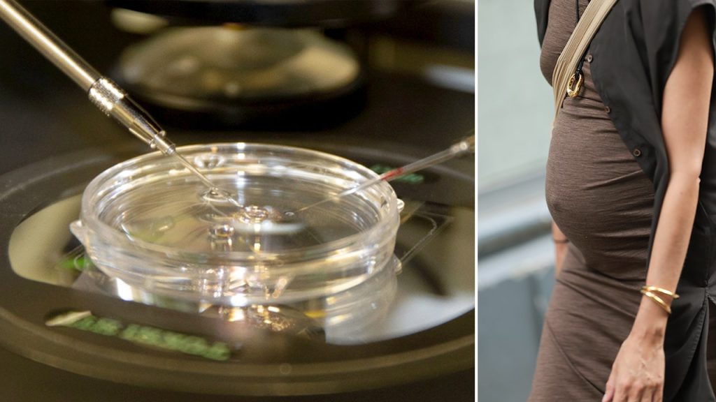 Researchers develop human eggs from skin cells in advancement for fertility.