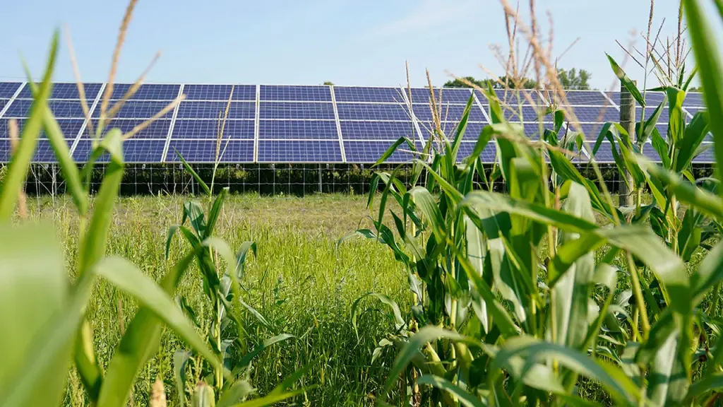 Restricting fossil fuels keeps poorer nations struggling and drives migrants toward the west.