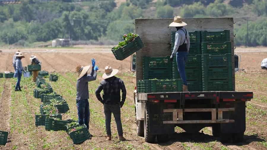 Rollins promotes major news as USDA prepares to release $3B for farmers