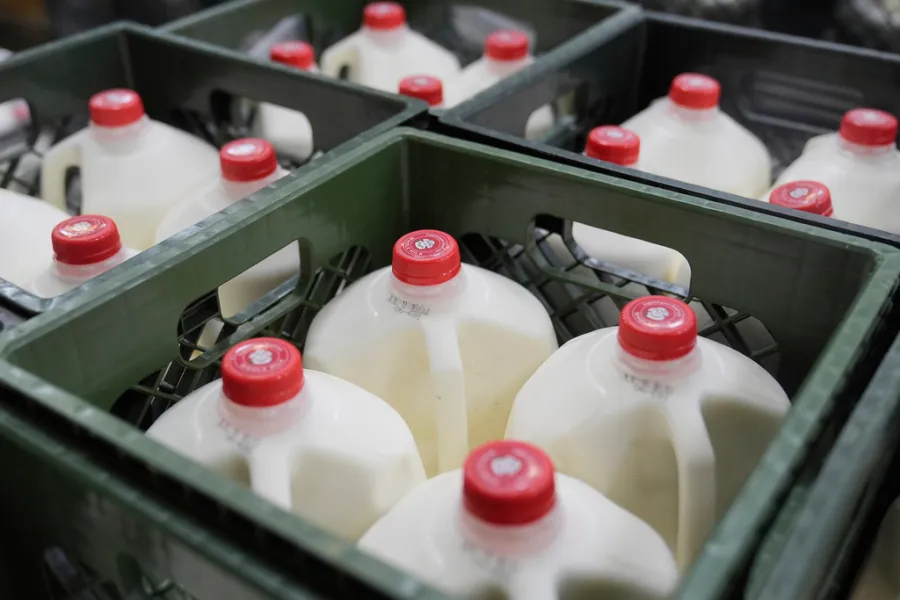 SNAP benefits will not be issued in November: What are the next steps?