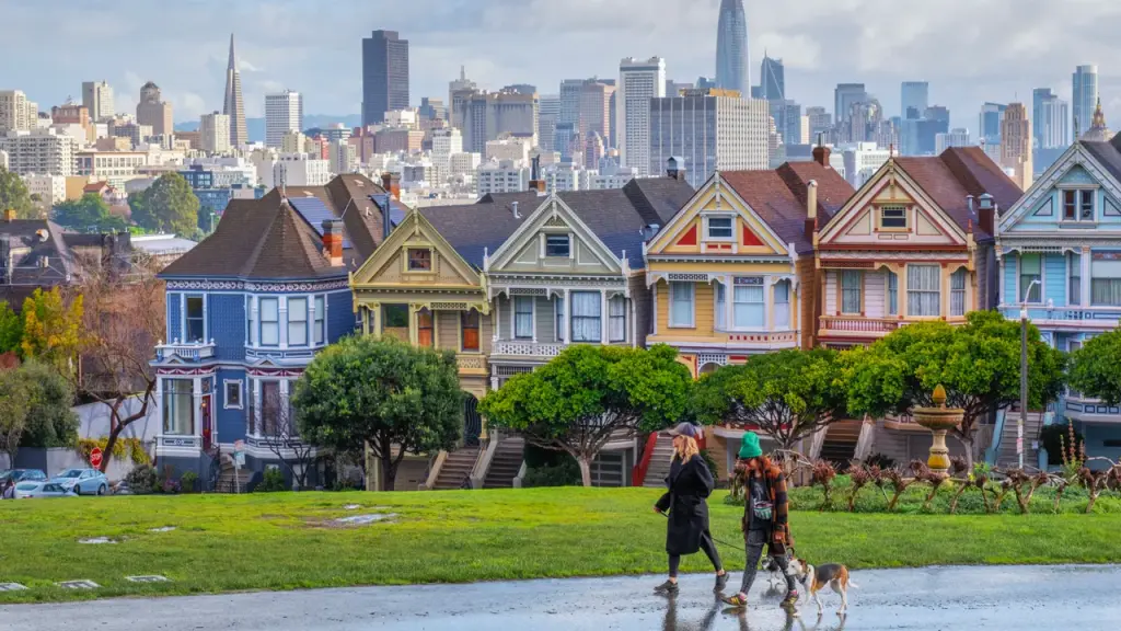 San Francisco residents are growing frustrated with unruly dogs causing disruptions throughout the city.