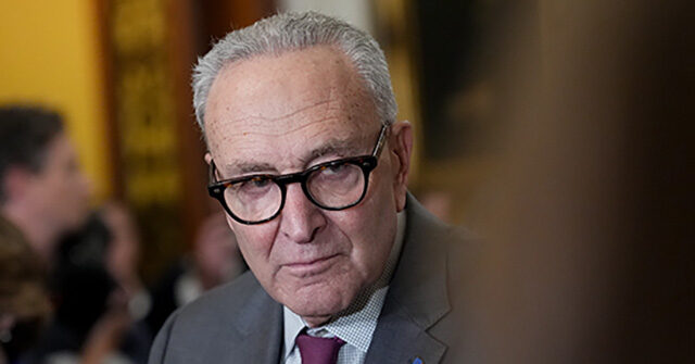 Schumer Is Endangering Everyday Americans for His Own Political Survival