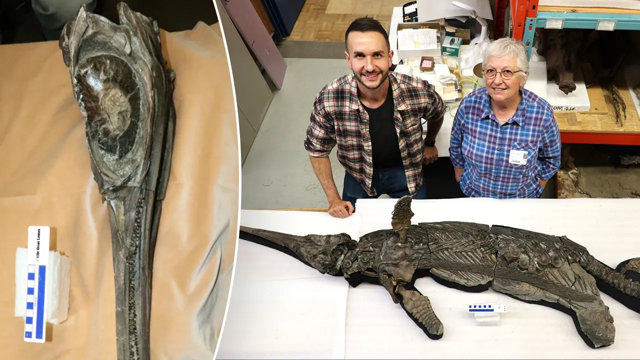 Scientists discover 193-million-year-old skeleton of a 'sword dragon'