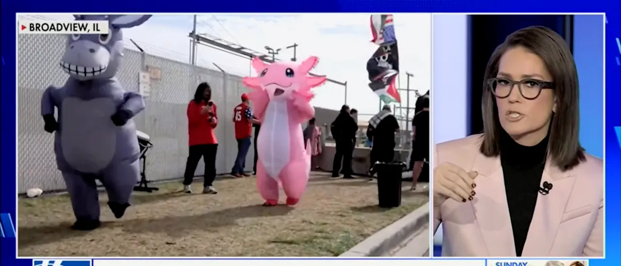 See Jessica Tarlov Discuss the ‘Intellectual’ Advantages of Wearing an Inflatable Animal Costume to Protest ICE