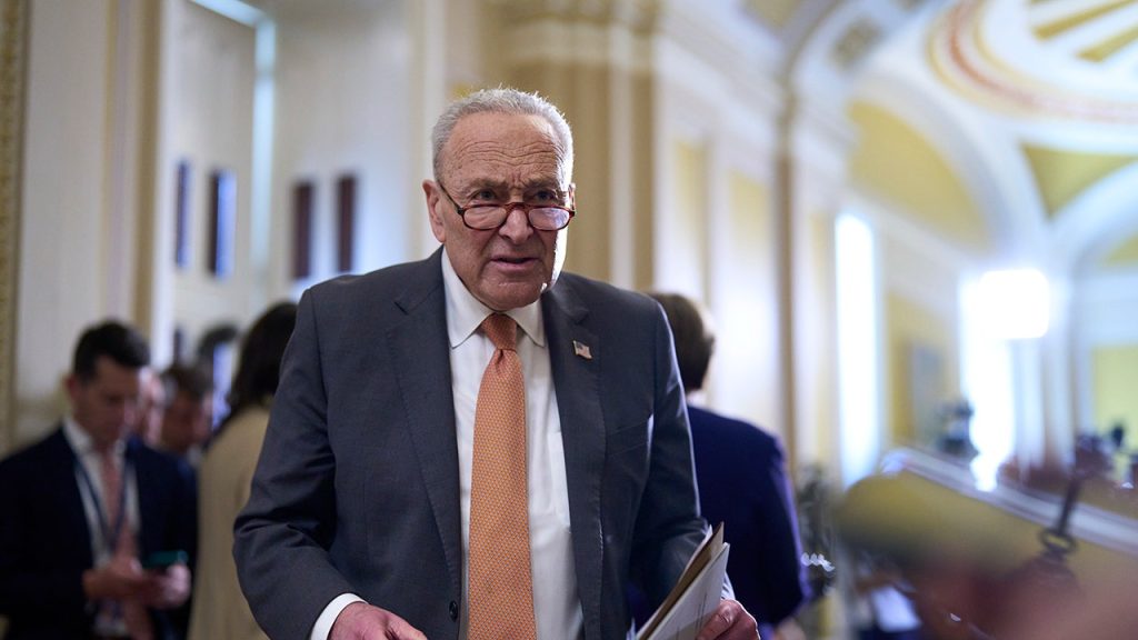 Senate Democrats prevent bill to compensate essential workers during shutdown
