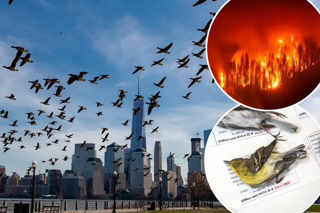 Shifts in bird behavior may pose significant risks for people, according to a scientist.